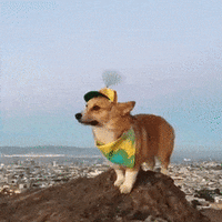 DeepScaredKestrel max 1mb