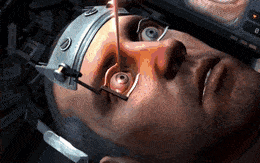 RegalGrizzledElkhound max 1mb