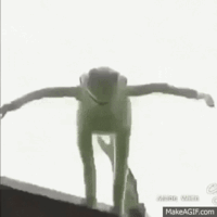 Giphy 7
