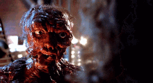 The fly