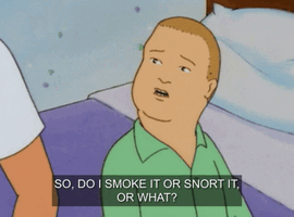 King of the hill bobby hill