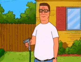 Giphy 34