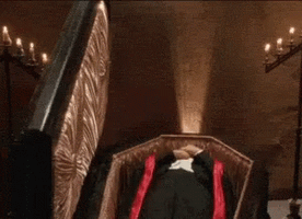 Wake up dracula