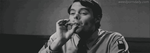 Pineapple express marijuana smoking recreational