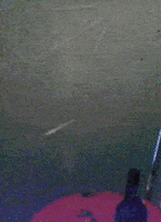 200 32