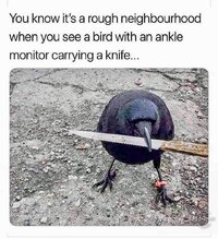 FB IMG 1635853095781