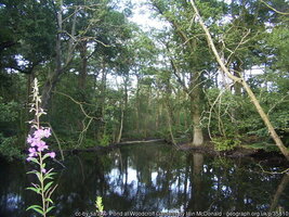 Geograph 35810 by Iain McDonald