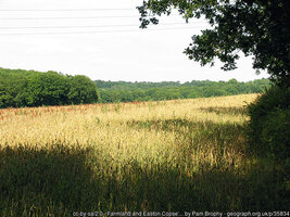 Geograph 35834 by Pam Brophy