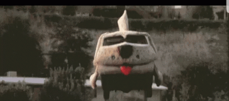 Dumb and dumber shaggin wagon 1