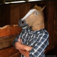 Horse mask stable 800x