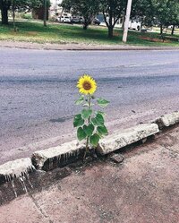 FB IMG 1638619896205