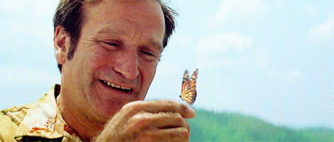 Robinwilliamsbutterfly