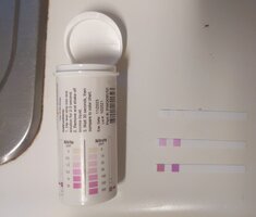 IMG_20220115_152048.jpg