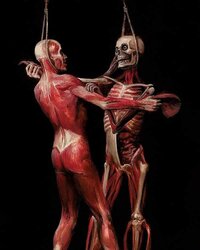 FB IMG 1643584673127