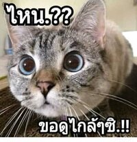 5a4d8e16 04ed 4981 8713 641d3910df3a