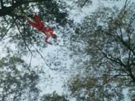 C44B1E2B EAAD 44A0 BAC5 F562CB590BFF