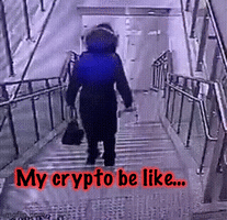 CF9D4081 DB08 421B 8835 2974AF7CF46B