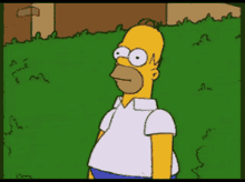 The simpsons homer simpson
