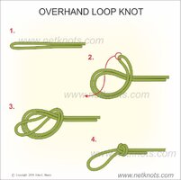 overhand_loop_knot.jpg