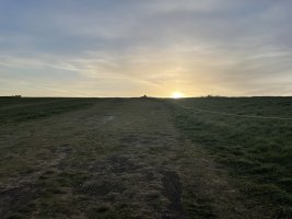 IMG_2909.jpeg