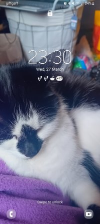1000000057.jpg