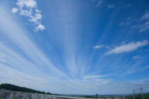 Sky1