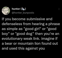 1000002618