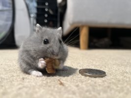 IMG_4914.jpeg