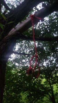 20250719_210028.jpg