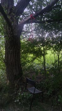 20250719_210023.jpg