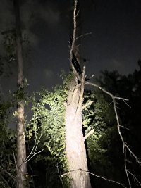 IMG 7864