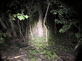 IMG 7869