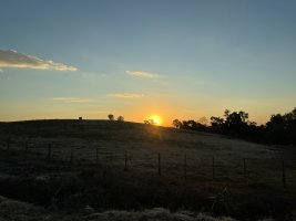 IMG 0804