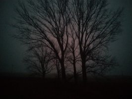 IMG 20241229 183917766 HDR