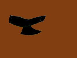 ezgif.com-optipng.png