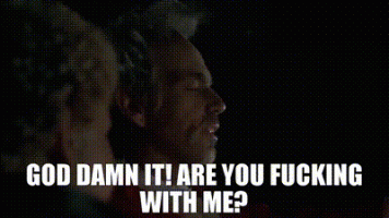 Are you fucking with me