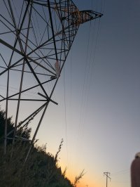 1000002407