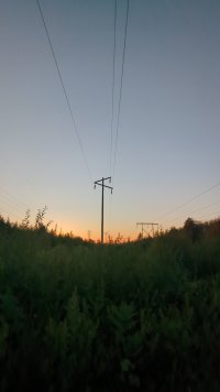 1000002409