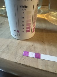 IMG_0216.jpeg