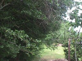 MVC 022F 1