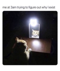 Signal 2025 08 04 023045