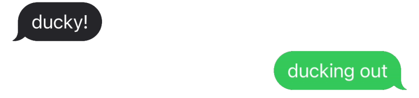 IMG 8700