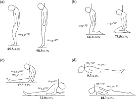 Partial Hanging Positions Forces