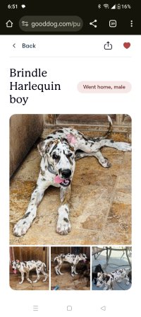 Screenshot 2025 07 28 18 51 58 32 40deb401b9ffe8e1df2f1cc5ba480b12