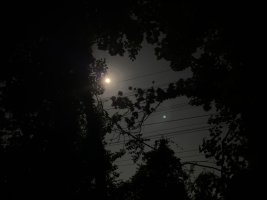 IMG 8992