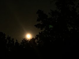 IMG 9021