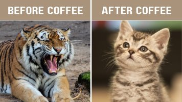 Canva coffee collage funny meme D7Ftr 9rI U
