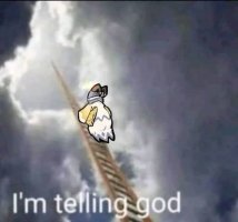 1000007154