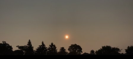 IMG 7105