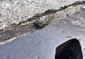 IMG 7108